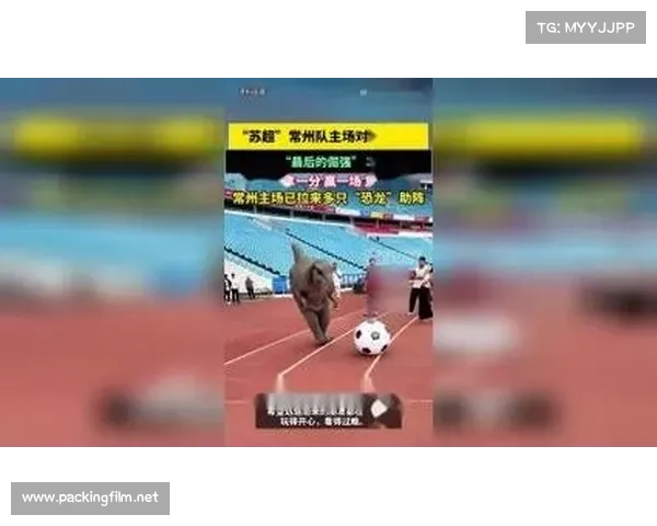 常州奥体今日赛事激情上演精彩竞技引爆全场 常州奥体今日赛事激情上演精彩竞技引爆全场