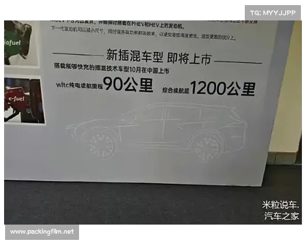 皇冠赛事中断怎么结算 皇冠赛事中断怎么结算