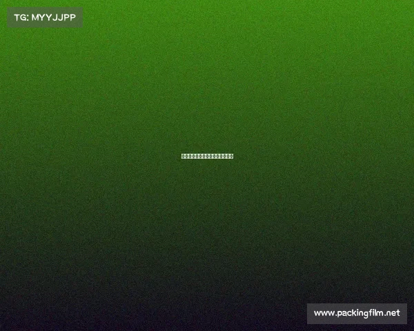 临沂万象战队破晓新象，竞绽锋芒